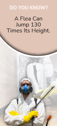 Pest Control banner